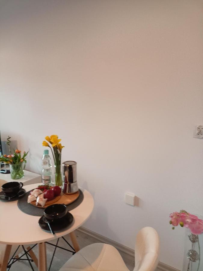 Apartament Z Sauna I Jacuzzi Daire Radom Dış mekan fotoğraf