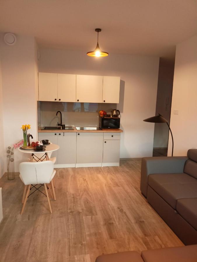 Apartament Z Sauna I Jacuzzi Daire Radom Dış mekan fotoğraf